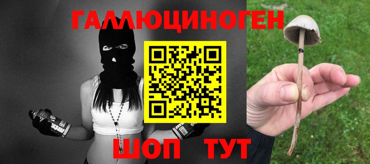 Псилоцибиновые грибы мухоморы Люберцы